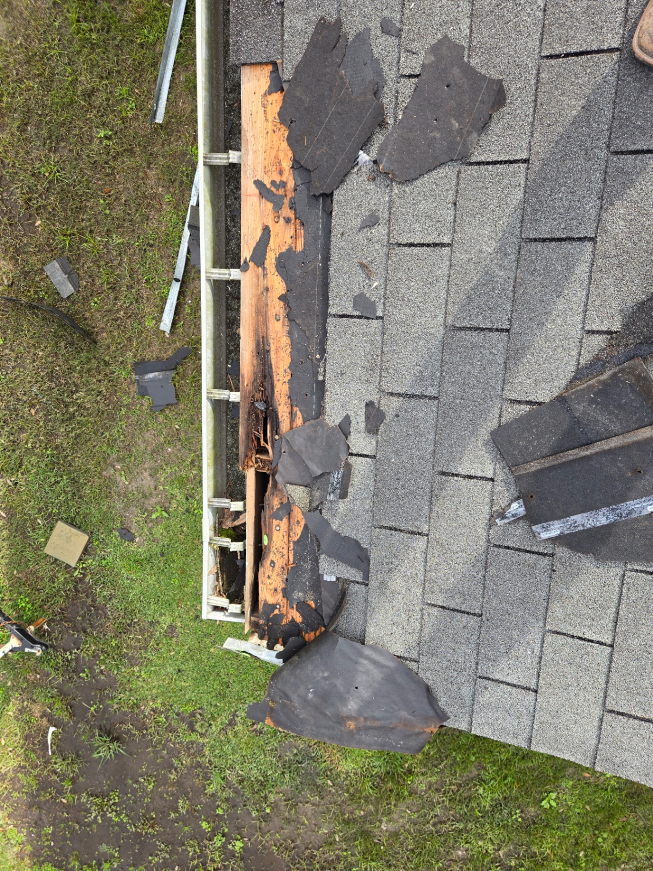 Storm-damaged roof edge with shingles removed and rotted wood exposed