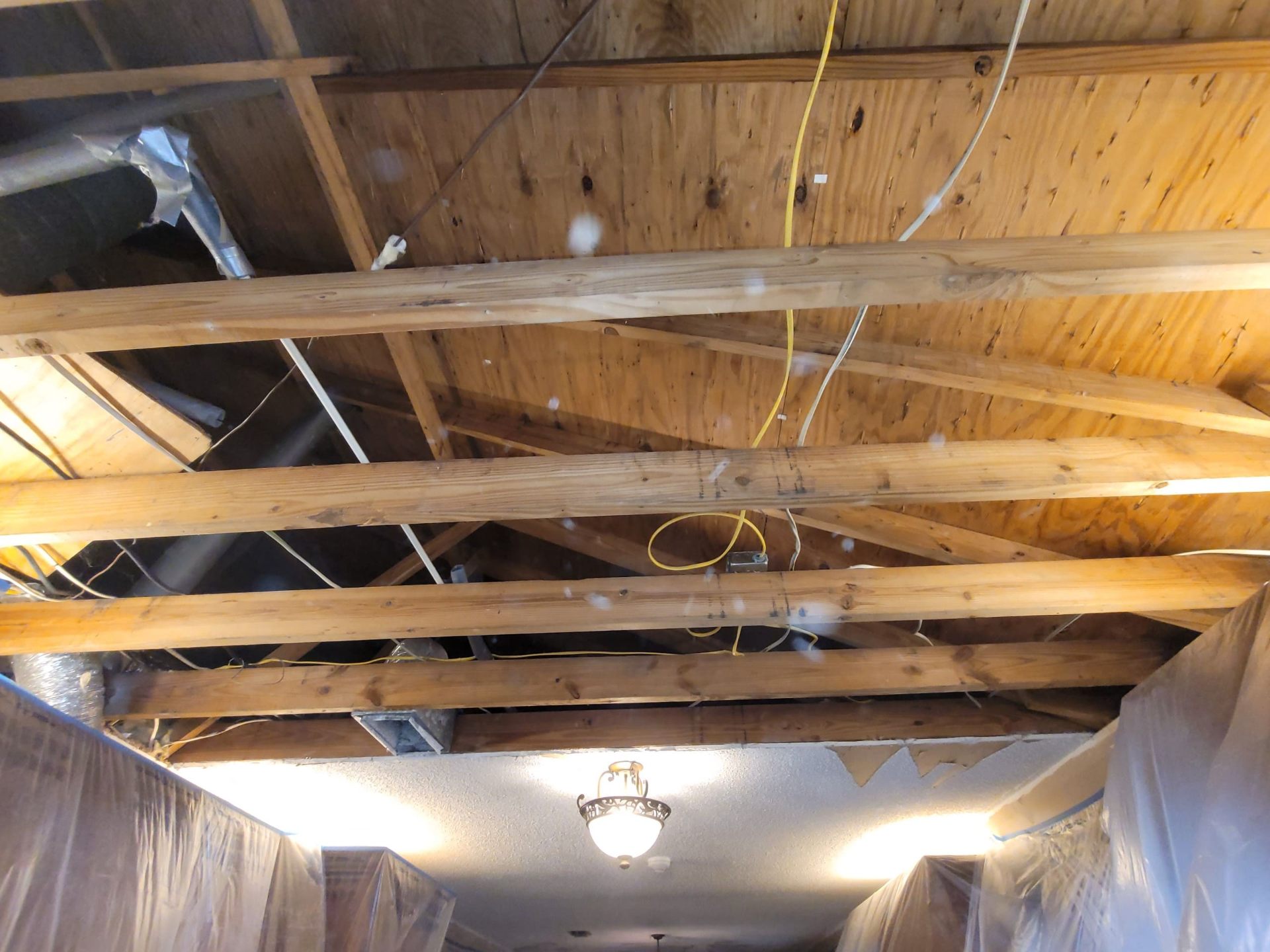 Exposed ceiling joists after damaged sheetrock was removed